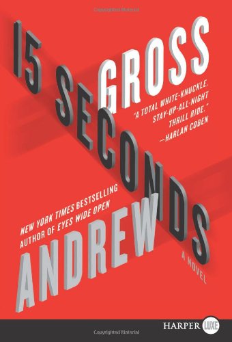 15 Seconds LP: A Novel by Andrew Gross