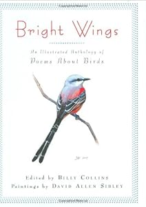 Bright Wings: An Illustrated Anthology of Poems About Birds