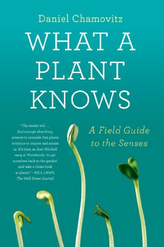 What a Plant Knows: A Field Guide to the Senses by Daniel Chamovitz