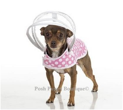 Algopix Similar Product 15 - Push Pushi DRCMWPP Puddle Jumper