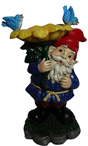 Algopix Similar Product 8 - Benzara BM148553 Gnome with Flower