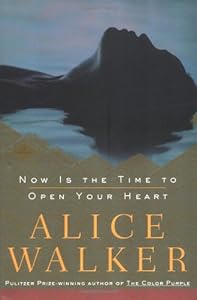 Now Is the Time to Open Your Heart: A Novel (Walker, Alice)