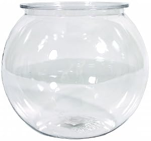 Round Fish Bowl Amazon.com Tom Tominaga Oscar 