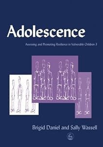 Adolescence: Assessing and Promoting Resilience in Vulnerable Children 3 (Assessing and Promoting Resilience in Vulnerable Children: 3)