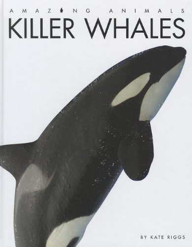 Killer Whales by Kate Riggs
