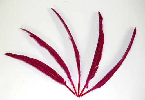 

150 Pcs Dyed Guinea Quills 7-9" Feathers - MIXED COLORS (Yellow, Mint, Blue, Orange, Pink, Rust)