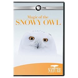 Nature: Magic of the Snowy Owl