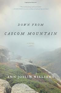 Down from Cascom Mountain: A Novel by Ann Joslin Williams