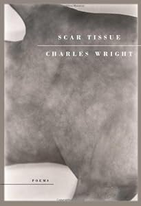 Scar Tissue: Poems
