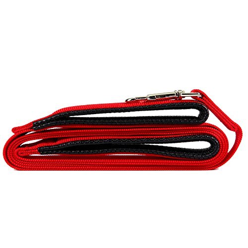 ColorPet Dog Leash Dual Handled Black Nylon Dog Leash Extra Long Large Dog Leash Soft Padded Handles One Inch Wide -8-Feet and 2 Handles (Red)