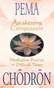 Awakening Compassion: Meditation Practices for Difficult Times