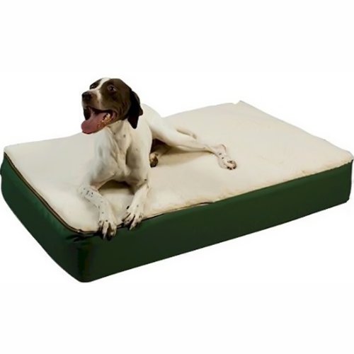 Best Dog Beds for Older Dogs (Keeping Your Companion Comfy)