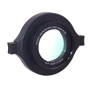 41MUNtB-FuL._SY355_.jpg