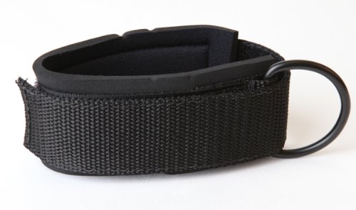 Algopix Similar Product 5 - Stroops 2" Wide Padded Wrist/Ankle Strap