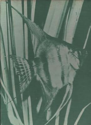 Encyclopedia of Fish