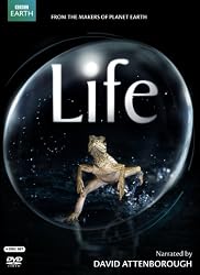Life