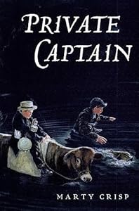 Private Captain: A Story of Gettysburg