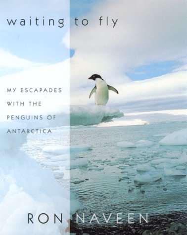 Waiting to Fly: My Escapades With The Penguins Of Antarctica by Ron Naveen