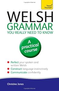 Welsh Grammar You Really Need to Know: A Teach Yourself Guide