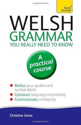 Welsh Grammar You Really Need to Know: A Teach Yourself Guide