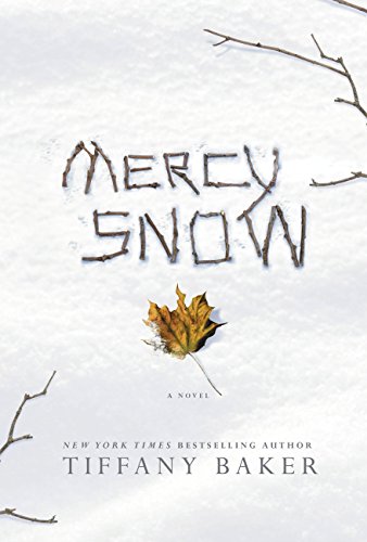 Mercy Snow: A Novel by Tiffany Baker