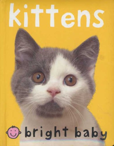 Bright Baby Kitten by Roger Priddy