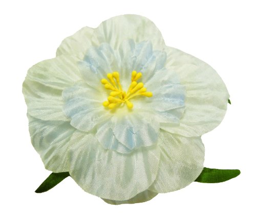 Algopix Similar Product 12 - Cuteque International 6Pack Light Blue