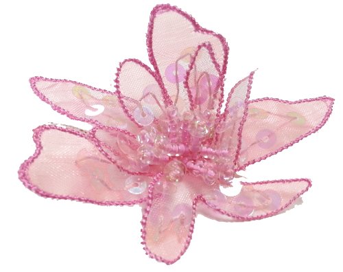 Algopix Similar Product 18 - Cuteque International 6Piece Organza
