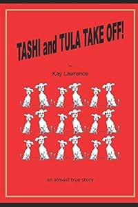 Tashi and Tula Take Off!: an almost true story