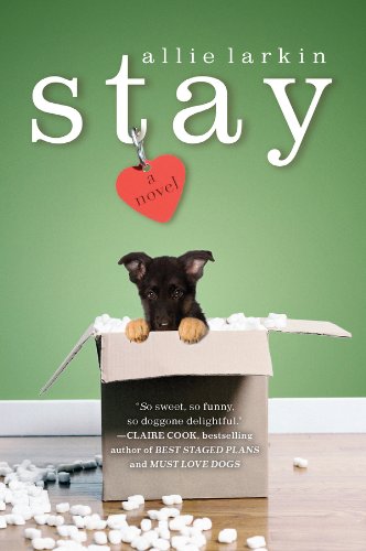 Stay by Allie Larkin