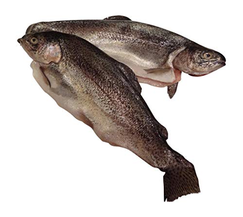 Algopix Similar Product 1 - Trout Whole Rainbow Farm Raised