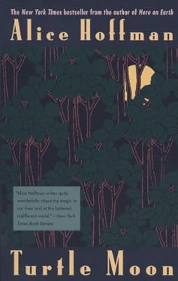 Turtle Moon