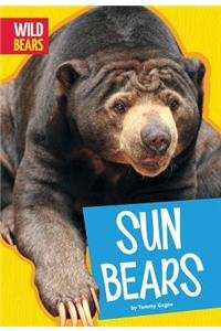 Sun Bears by Tammy Gagne