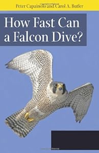 How Fast Can A Falcon Dive?: Fascinating Answers to Questions about Birds of Prey by Carol A Butler