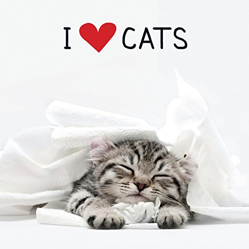 I Love Cats by Adams Media