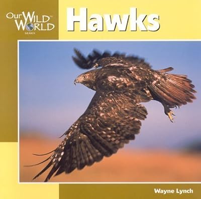 Hawks (Our Wild World)