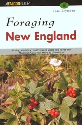 Basic Essentials Fly Fishing (Basic Essentials Series)