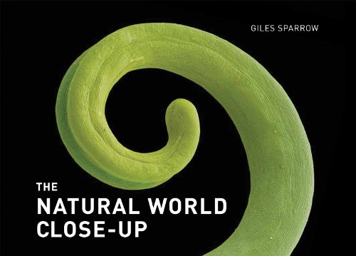 The Natural World Close-Up by Giles Sparrow