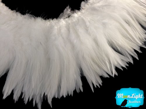 Algopix Similar Product 12 - Moonlight Feather  4 Inch Strip 