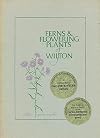 Ferns & flowering plants of Wilton