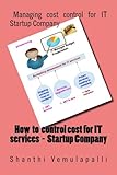 How to control cost for IT services - Startup Company: Managing cost control for IT Startup Company