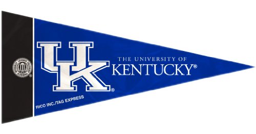 NCAA 8 Piece Mini Pennant Set