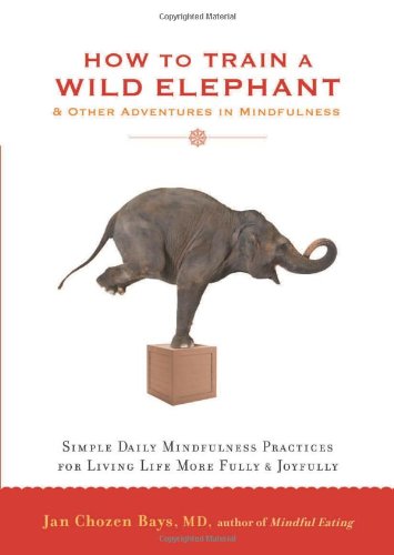 How to Train a Wild Elephant: And Other Adventures in Mindfulness by Jan Chozen Bays