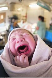 Amazing Babies: Episode 3