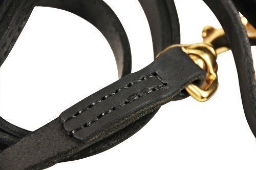 

Dean & Tyler No Assumptions Leash Hand Stitched with Solid Brass Hardware, Black, 6-Feet by 3/4-Inch