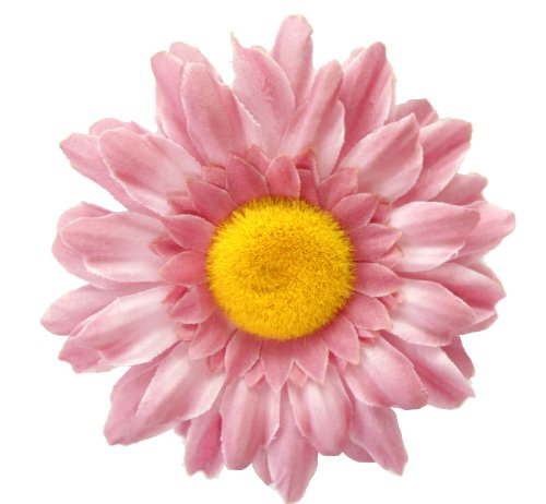 Algopix Similar Product 10 - Cuteque International Inc 6 pieces of