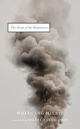 The Sleep of the Righteous by Wolfgang Hilbig                       ,