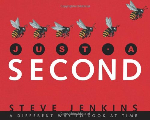 Just a Second by Steve Jenkins