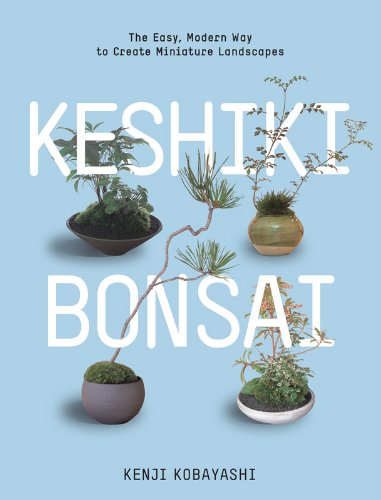 Keshiki Bonsai: The Easy, Modern Way to Create Miniature Landscapes by Kenji Kobayashi