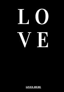LOVE LIVES HERE: Decorative Book for Coffee Table, Bookshelf, End Table, Console Table, Designer Books for Interior Decoration Text also on Spine by Luxury Art House